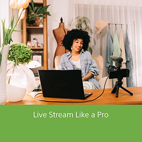 Sony Alpha ZV-E10L 24.2 Mega Pixel Interchangeable-Lens Mirrorless vlog Camera with 16-50 mm Lens, Made for Creators | APS-C Sensor | Advanced Autofocus | Clear Audio & 4K Movie Recording - Black